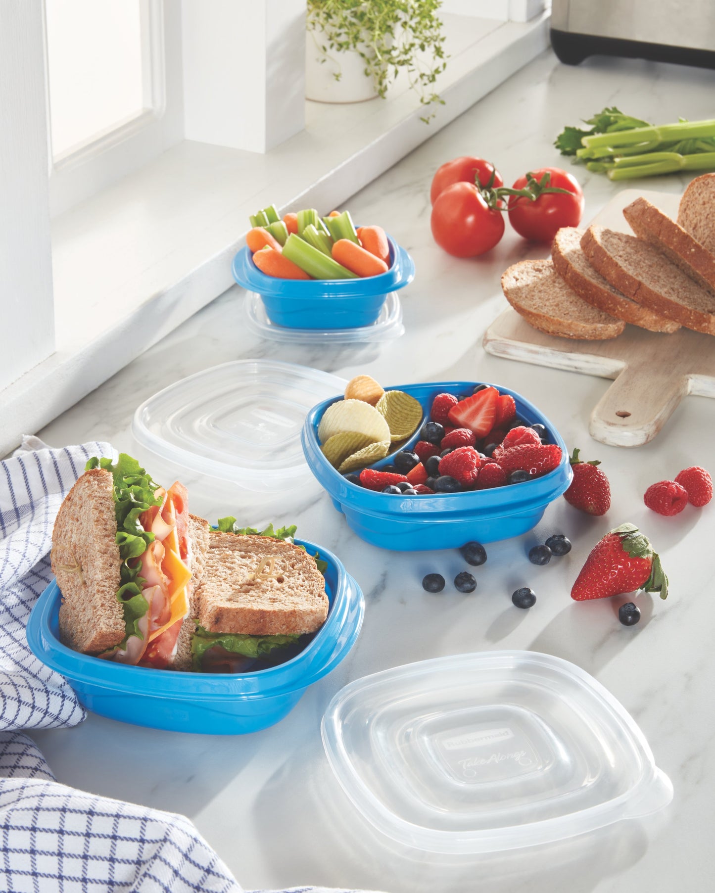 TakeAlongs® Food Storage 2.9 Cup Square Containers, Meal Prep - US 3789